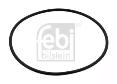 febibilstein-39485