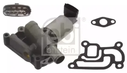 febibilstein-39544