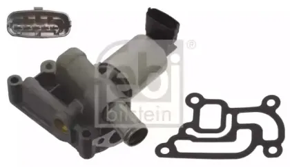 febibilstein-39545