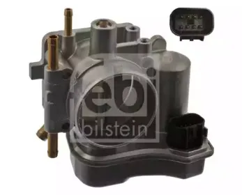 febibilstein-39551