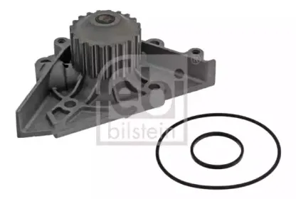 febibilstein-39679