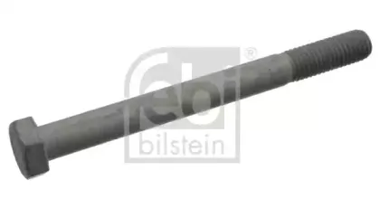 febibilstein-39749