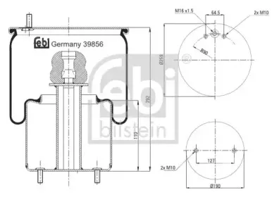 febibilstein-39856