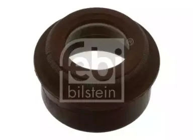 febibilstein-40020