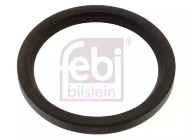 febibilstein-40072