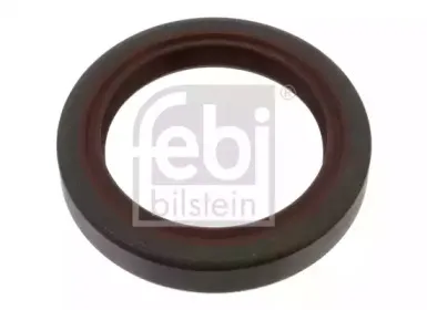 febibilstein-40074