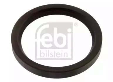 febibilstein-40077