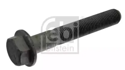 febibilstein-40159