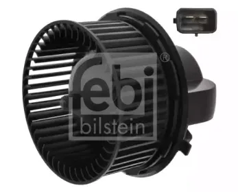 febibilstein-40179