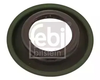 febibilstein-40287
