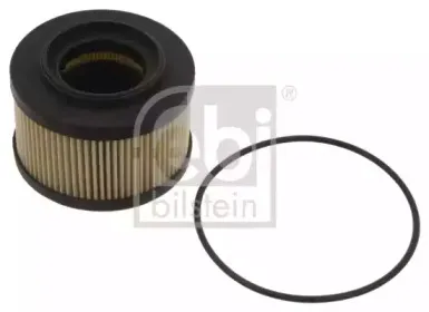 febibilstein-40424