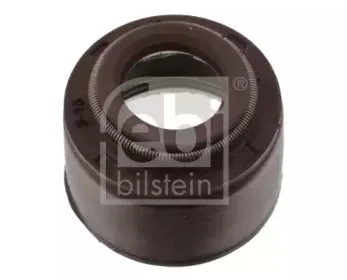 febibilstein-40486
