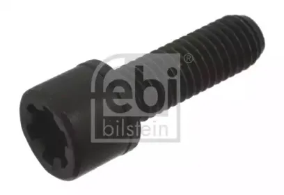 febibilstein-40599