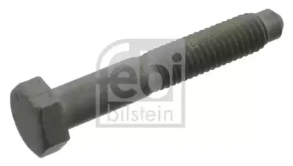 febibilstein-40663