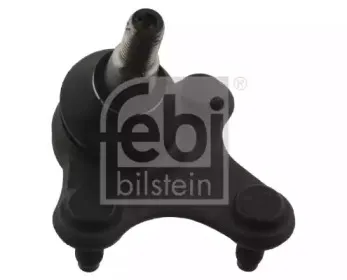 febibilstein-40666
