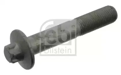 febibilstein-40726