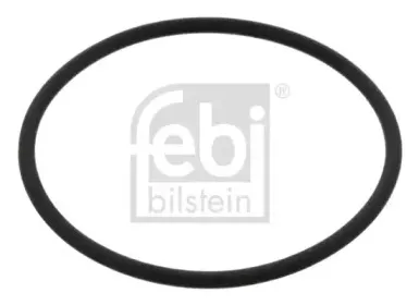 febibilstein-40739