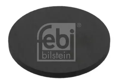 febibilstein-40740