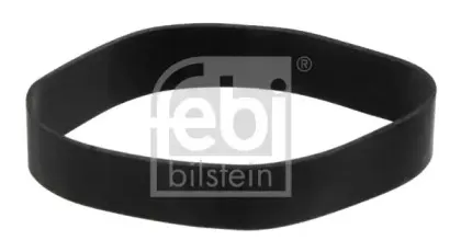 febibilstein-40938