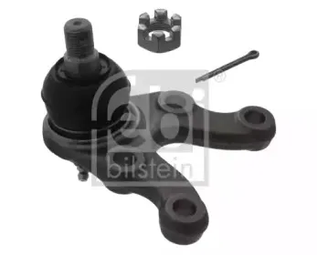 febibilstein-41239