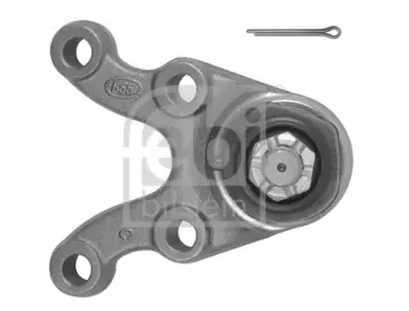 febibilstein-41240