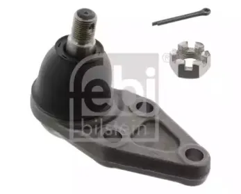 febibilstein-41252