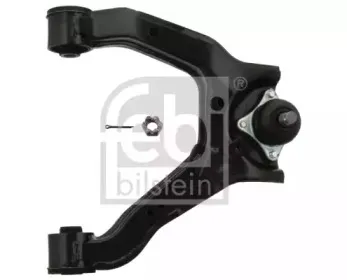 febibilstein-41253