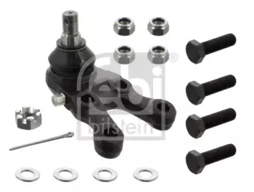 febibilstein-41257