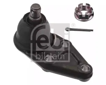 febibilstein-41264