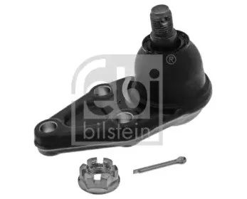 febibilstein-41265