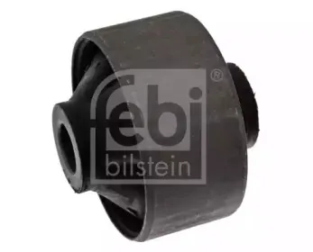 febibilstein-41555