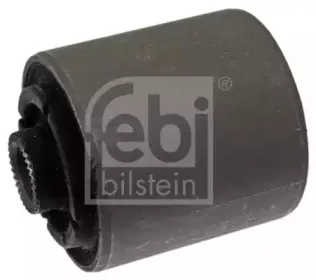 febibilstein-41598