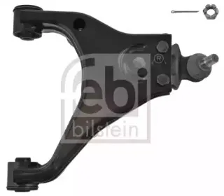 febibilstein-41704