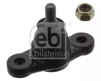 febibilstein-41710