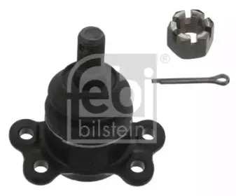 febibilstein-41827
