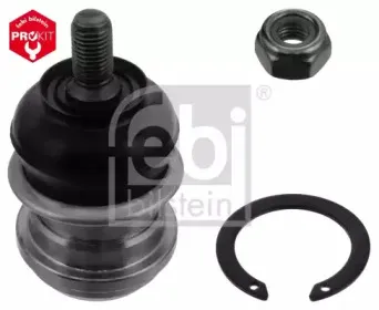 febibilstein-41848