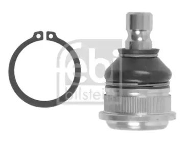 febibilstein-41882
