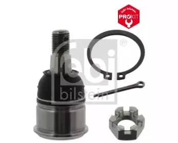 febibilstein-42138