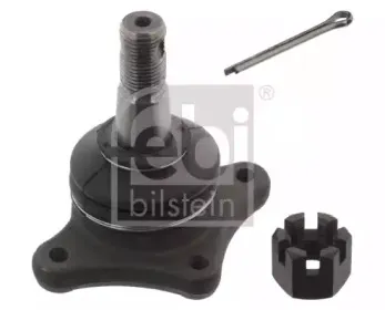 febibilstein-42396