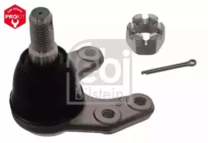 febibilstein-42439