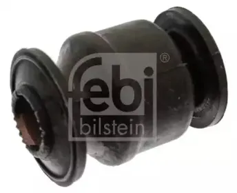febibilstein-42494