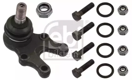 febibilstein-42610