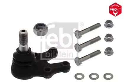 febibilstein-42611