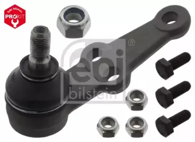 febibilstein-42613