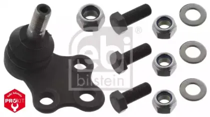 febibilstein-42614