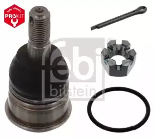 febibilstein-42650