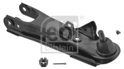 febibilstein-42655