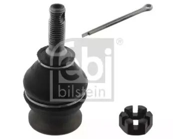 febibilstein-42801