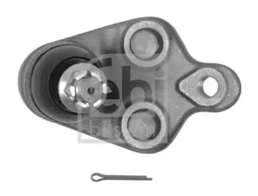 febibilstein-42994