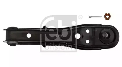 febibilstein-42996